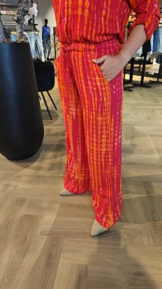 Bindi Pipa broek print