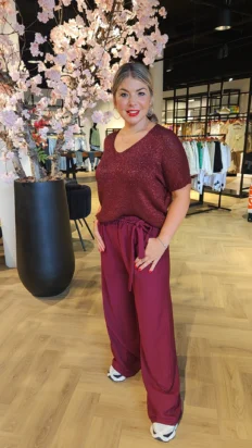 Femke glitter top bordeaux