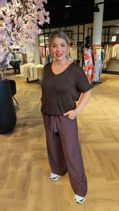 Femke glitter top bruin