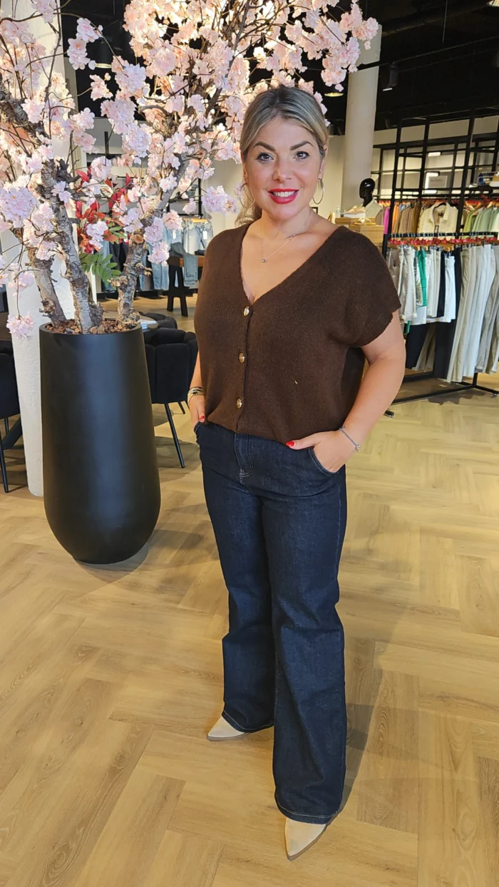 Irma Gilet met knoop bruin