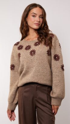 Gmaxx Zaina sweater bruin