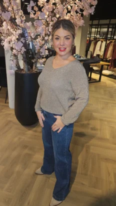 Senorita glitter top met vhals taupe