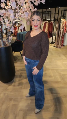 Senorita glitter top met vhals bruin