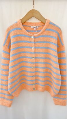 Lorraine vest met strepen mandarijn-blauw